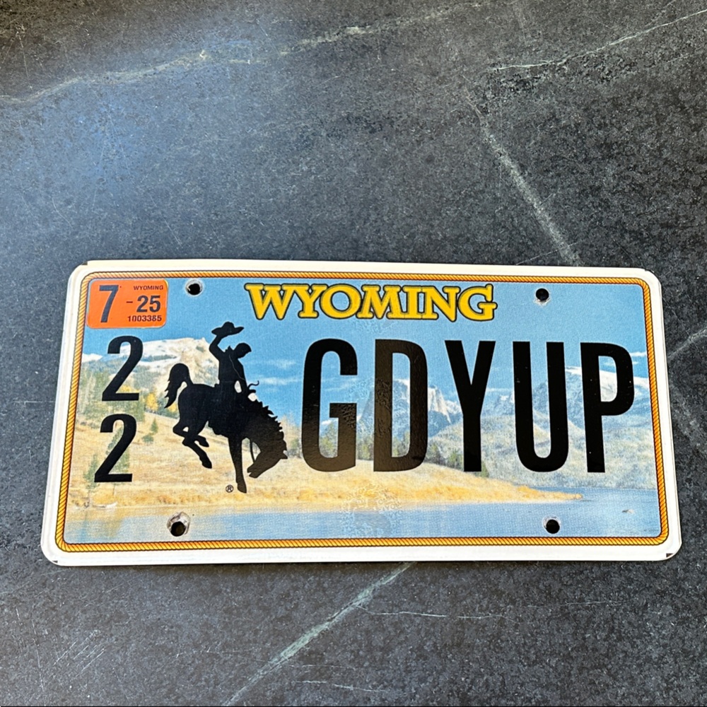 Authentic Wyoming License Plate with Cowboy Design
